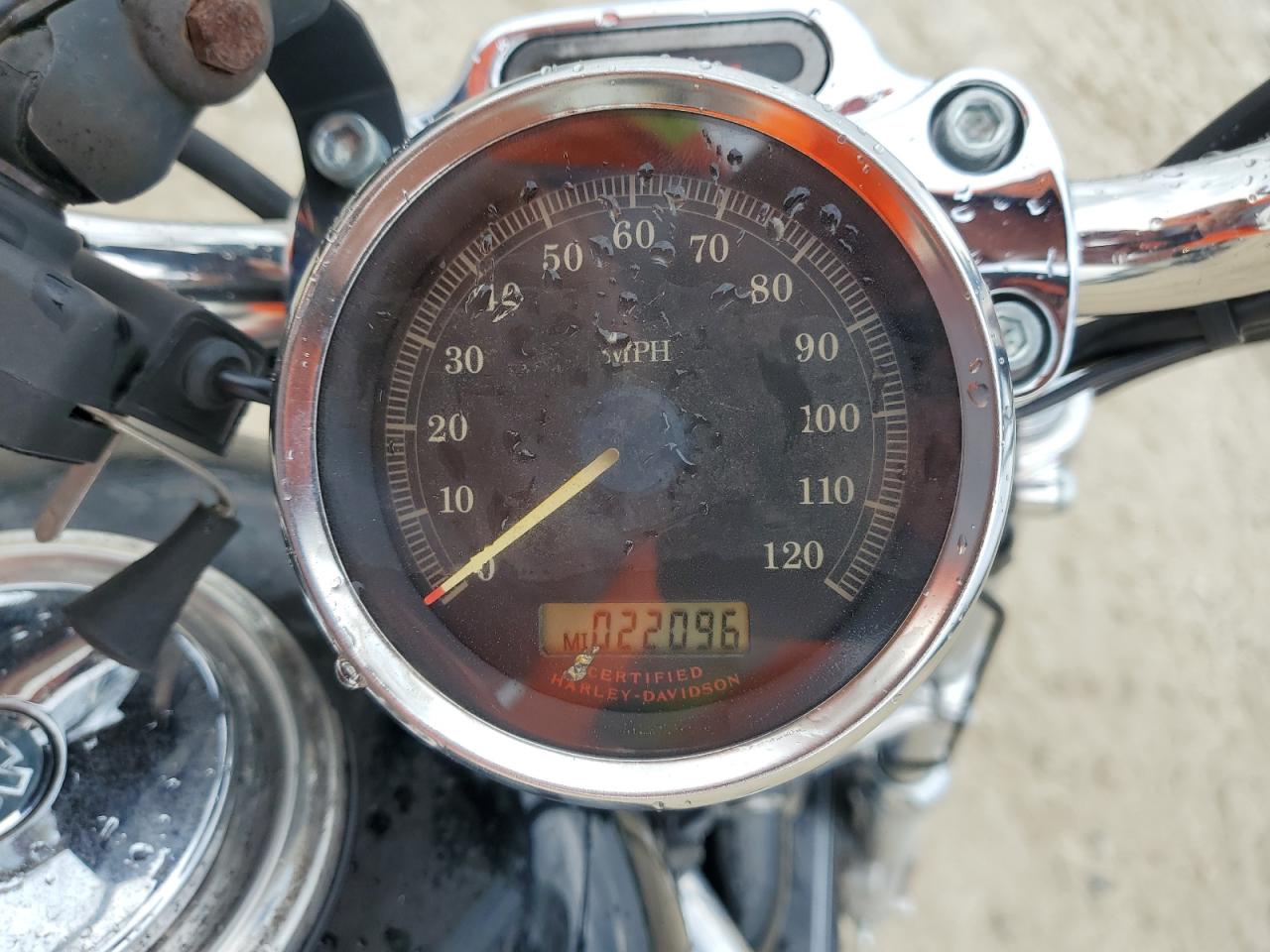 2005 Harley-Davidson Xl1200 C VIN: 1HD1CGP115K446039 Lot: 67532094