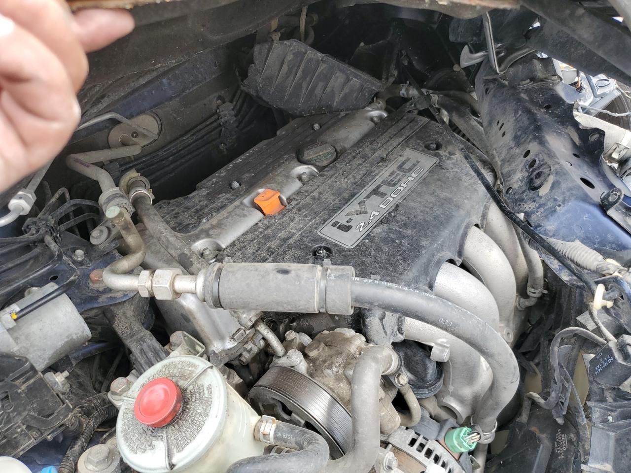 2009 Honda Cr-V Exl VIN: JHLRE38739C012539 Lot: 66390634