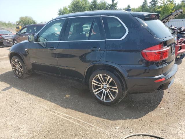 2013 BMW X5 XDRIVE50I