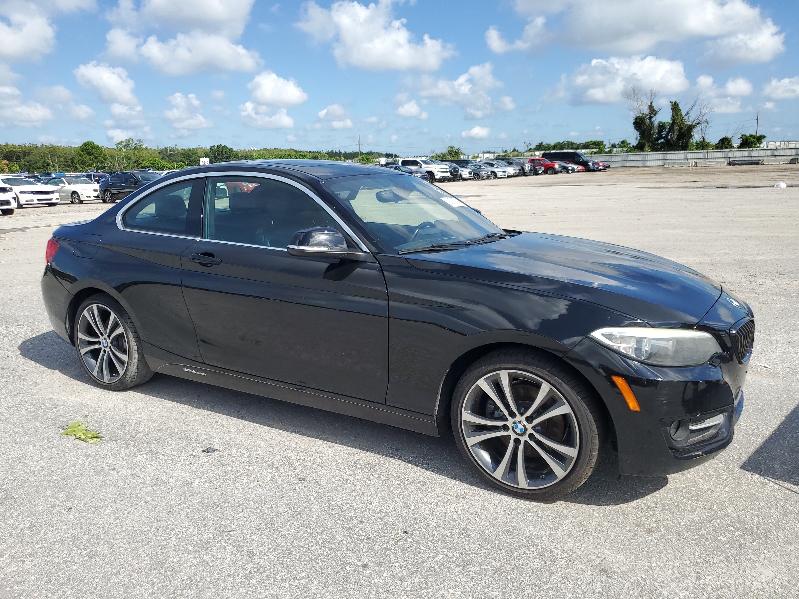 2016 BMW 228 I Sulev vin: WBA1F9C58GV545081