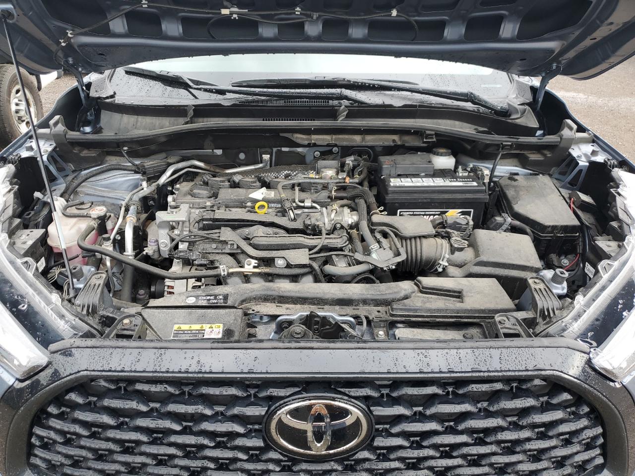 2023 Toyota Corolla Cross Le VIN: 7MUCAABG1PV060795 Lot: 65950264