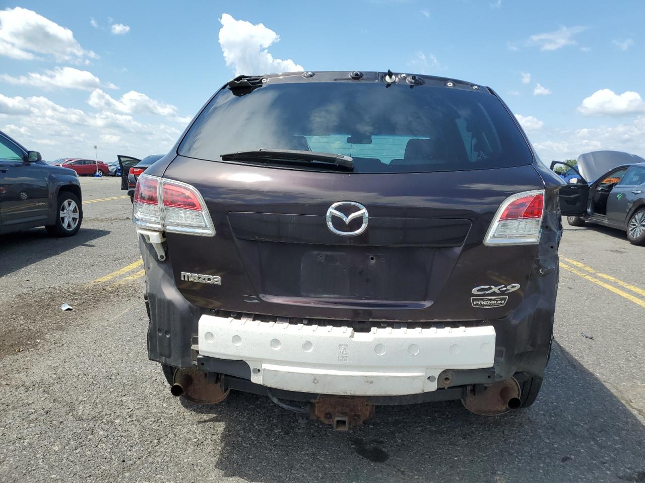 2008 Mazda Cx-9 VIN: JM3TB38V480153220 Lot: 66388904