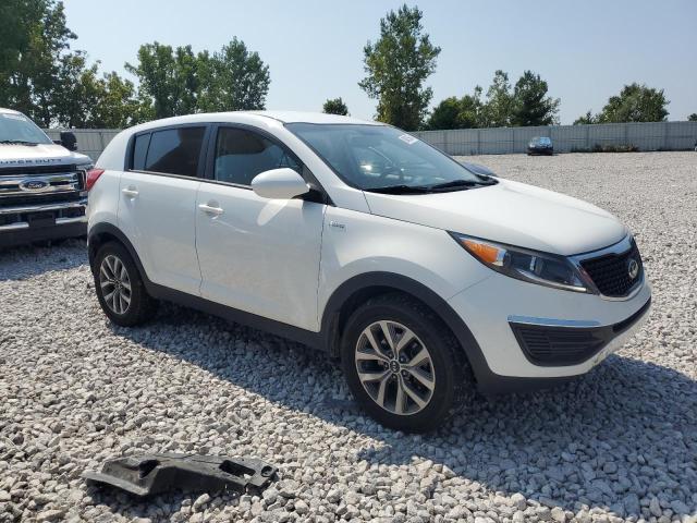  KIA SPORTAGE 2015 Білий