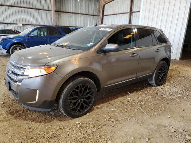  FORD EDGE 2012 Цвет загара