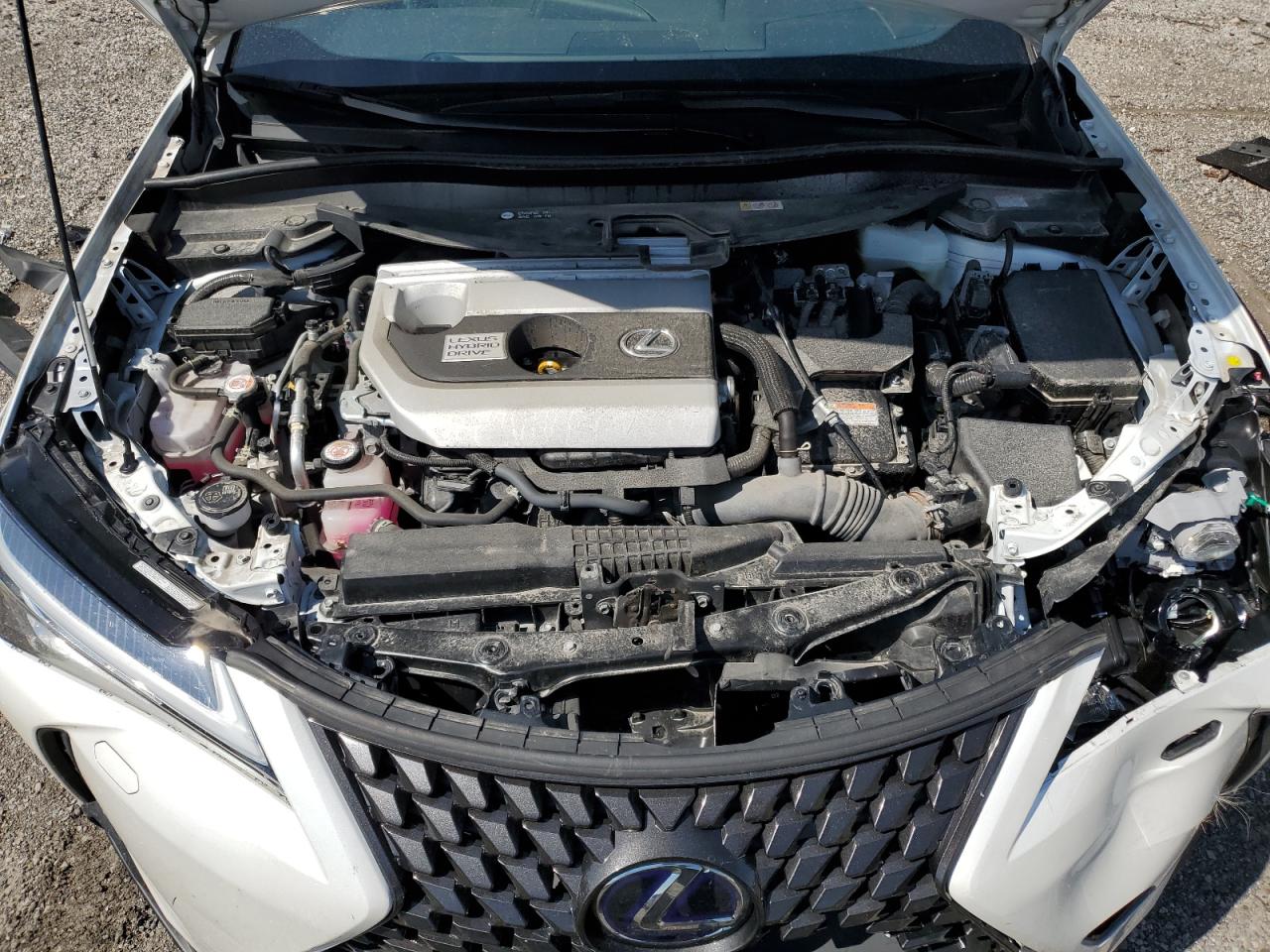 2021 Lexus Ux 250H VIN: JTHP9JBH0M2044134 Lot: 66073434