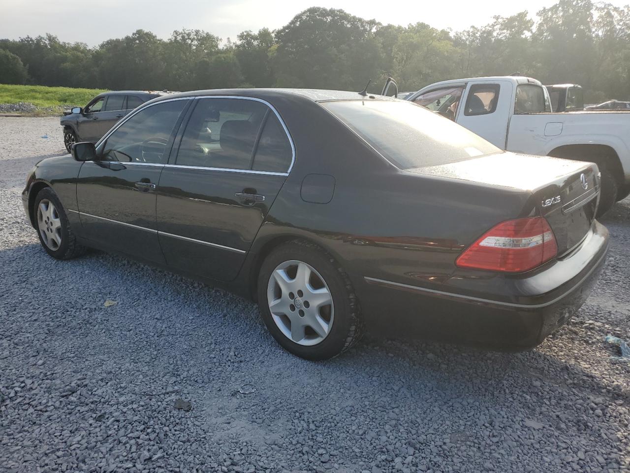 2004 Lexus Ls 430 VIN: JTHBN36F340169599 Lot: 66387394