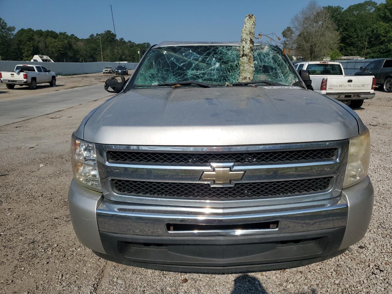 2011 Chevrolet Silverado C1500 Ls VIN: 3GCPCREA9BG359339 Lot: 66769564