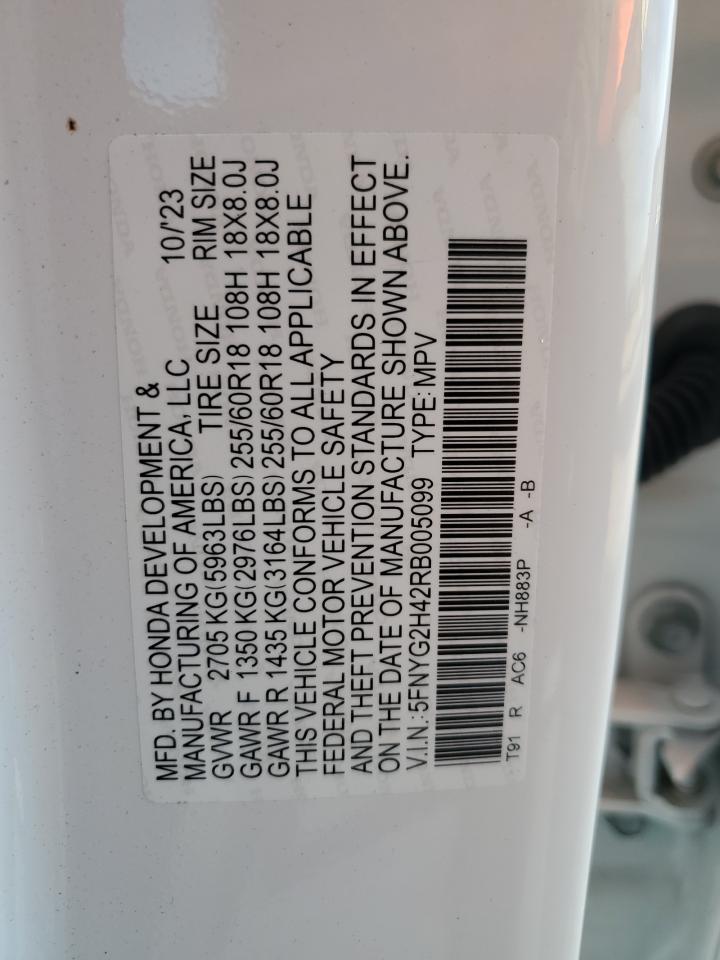 5FNYG2H42RB005099 2024 Honda Pilot Exl