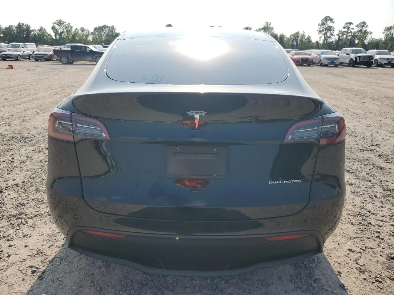 2023 Tesla Model Y VIN: 7SAYGDEEXPA073558 Lot: 66678434