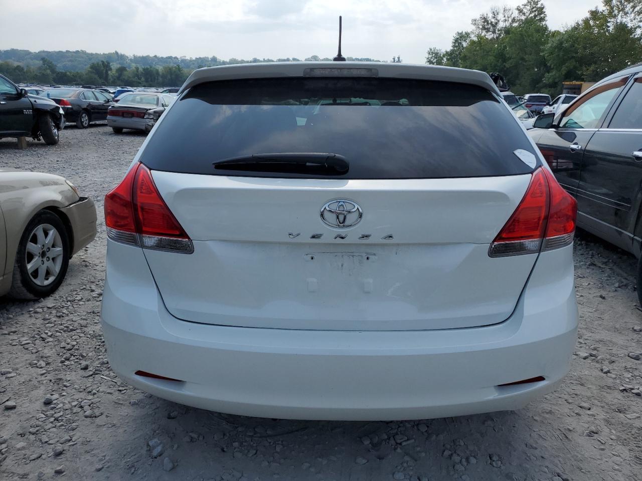 2009 Toyota Venza VIN: 4T3ZE11A69U010224 Lot: 69756764