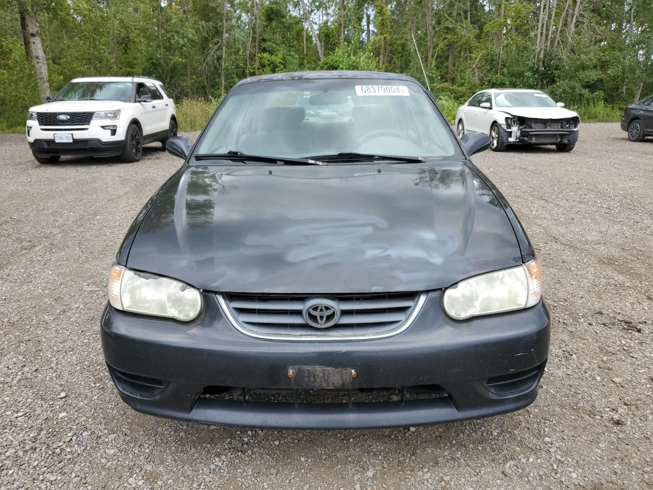 2002 Toyota Corolla - Image 5