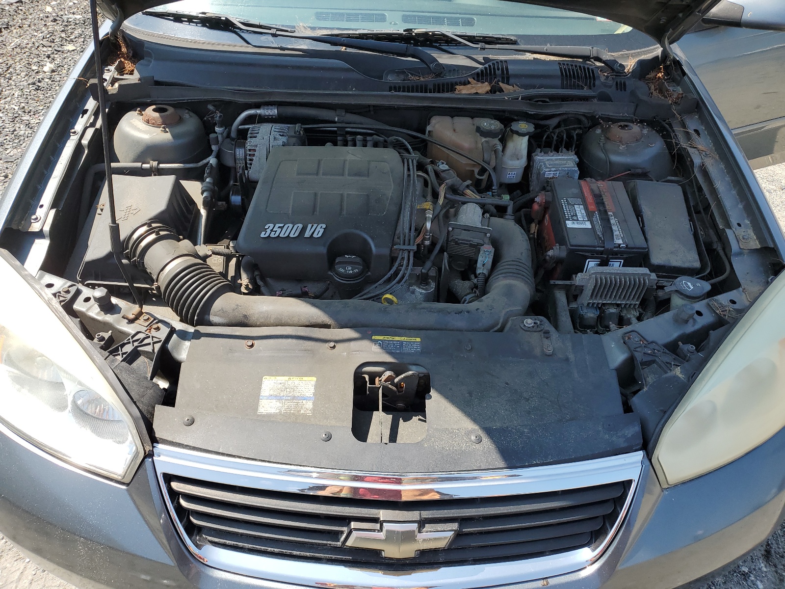 1G1ZT53886F226850 2006 Chevrolet Malibu Lt