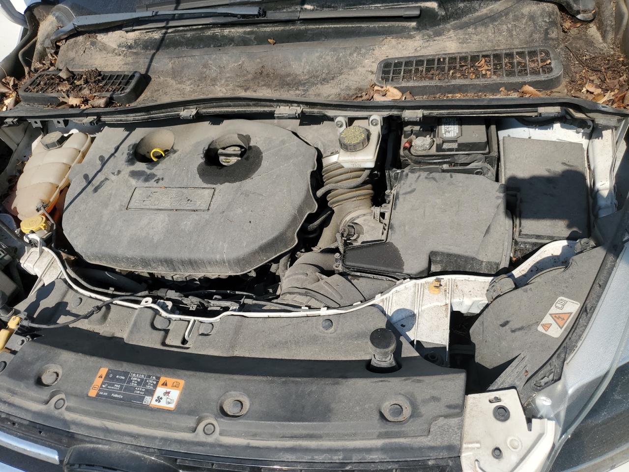 2014 Ford Escape Titanium VIN: 1FMCU0J92EUD50899 Lot: 66184844