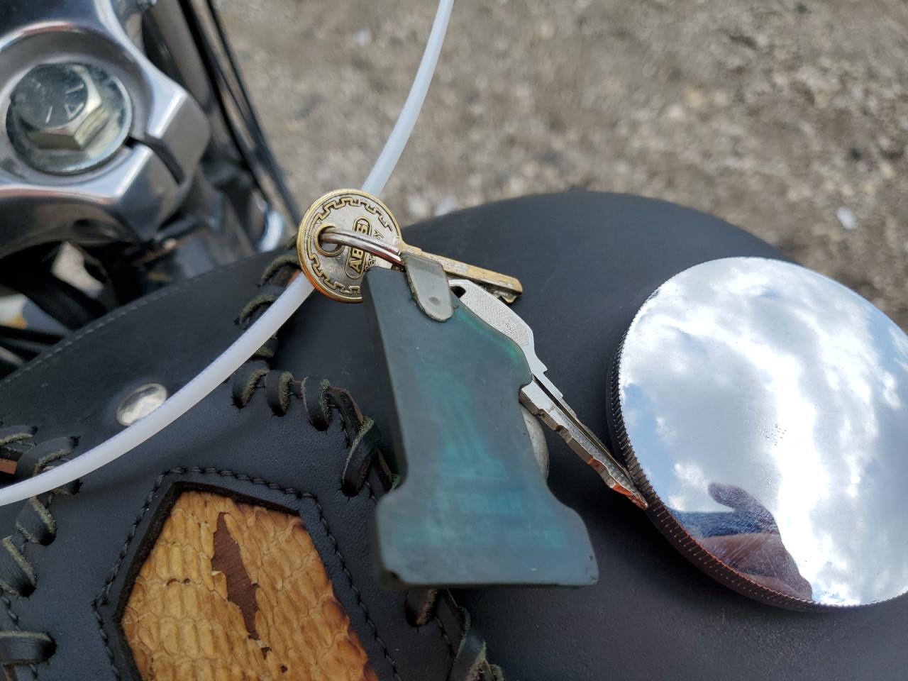 1993 Harley-Davidson Xlh883 Deluxe VIN: 1HD4CFM16PY207615 Lot: 67308384