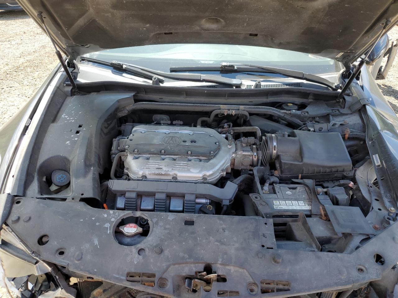 2011 Acura Tsx VIN: JH4CU4F61BC800004 Lot: 60813835