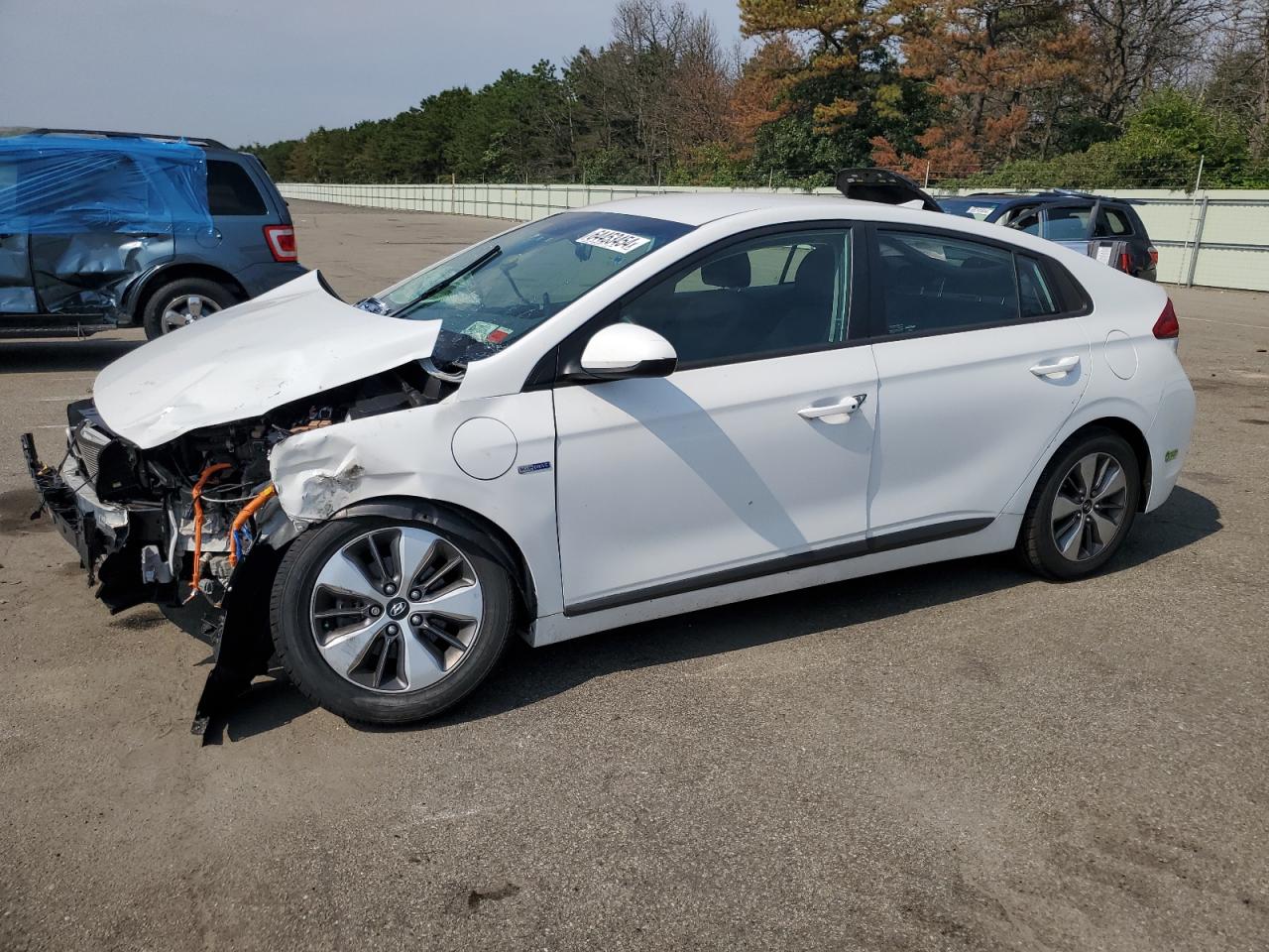 2019 Hyundai Ioniq VIN: KMHC65LD6KU183225 Lot: 64453454