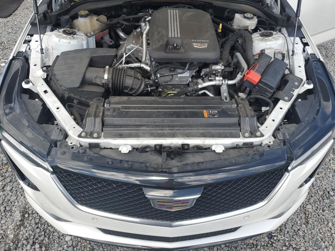 2020 Cadillac Ct4 Sport VIN: 1G6DC5RK5L0147206 Lot: 66372564