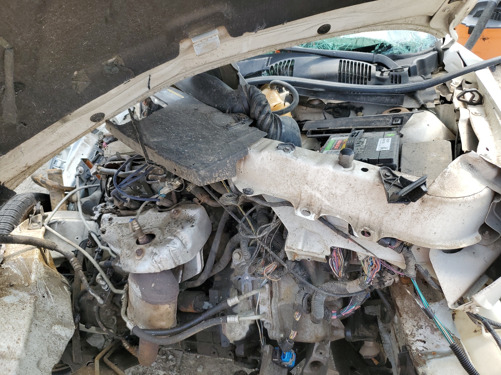 1G1ZT68N37F175246 2007 Chevrolet Malibu Maxx Lt