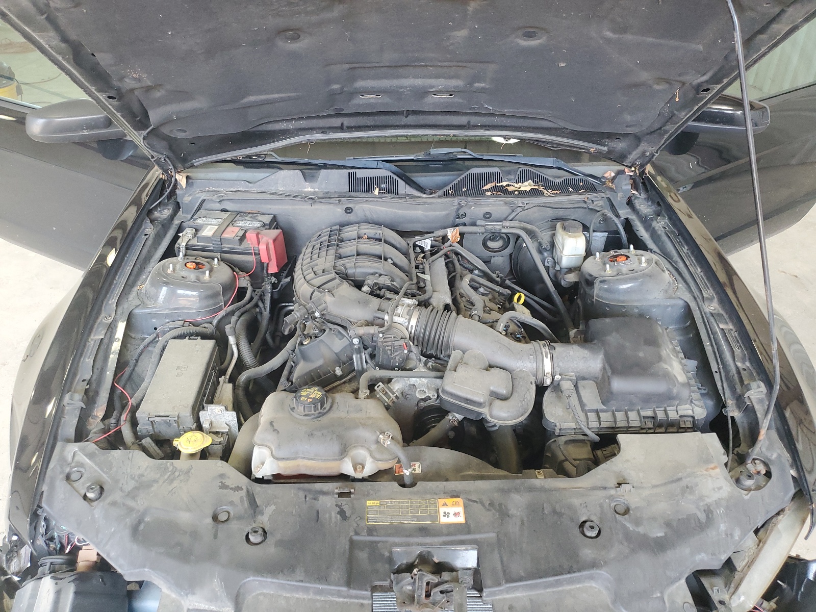 1ZVBP8AM6B5146457 2011 Ford Mustang