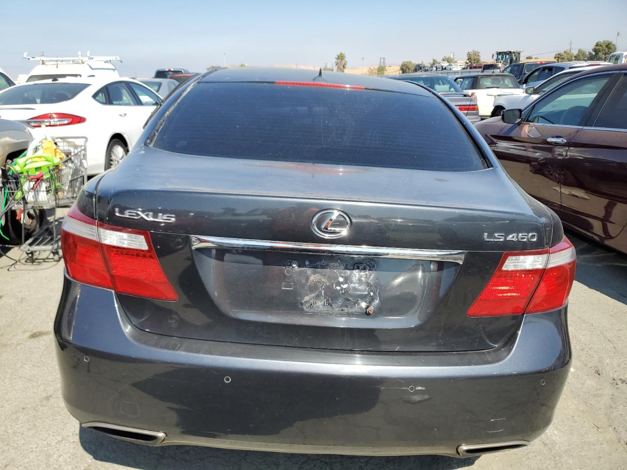 2007 Lexus Ls 460 VIN: JTHBL46F975007902 Lot: 66560454