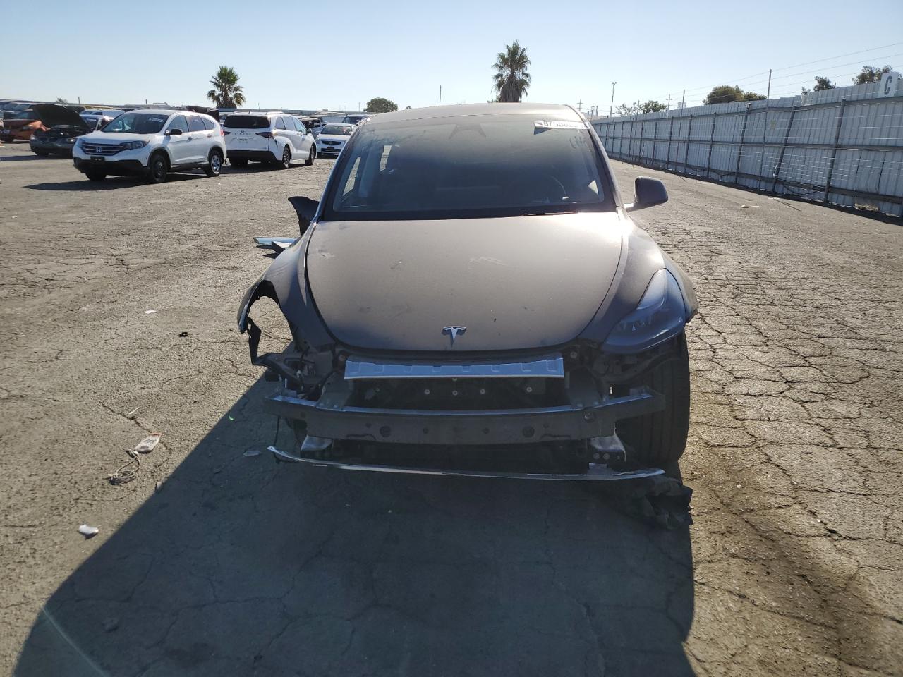 2024 Tesla Model Y VIN: 7SAYGDEE6RF010558 Lot: 67858934