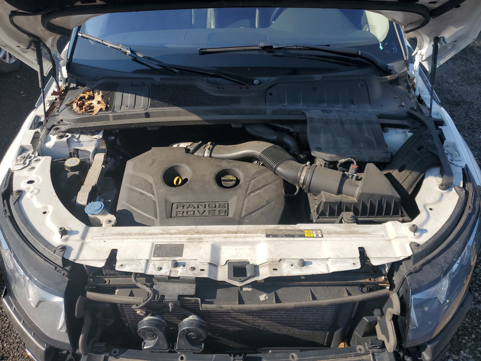 SALVR2BG7DH743742 2013 Land Rover Range Rover Evoque Pure Premium