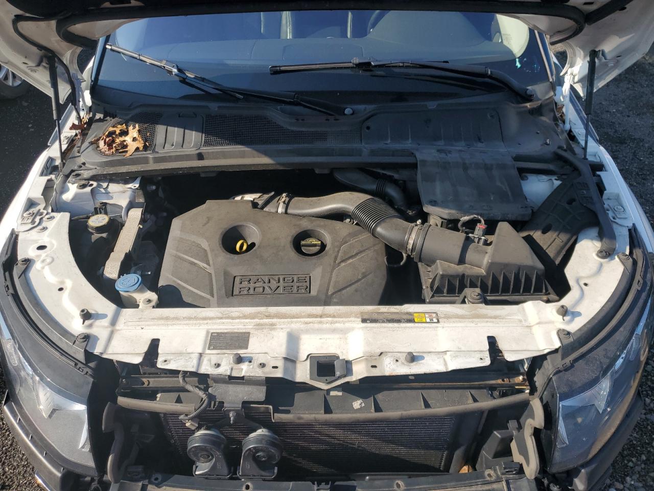 2013 Land Rover Range Rover Evoque Pure Premium VIN: SALVR2BG7DH743742 Lot: 65556784