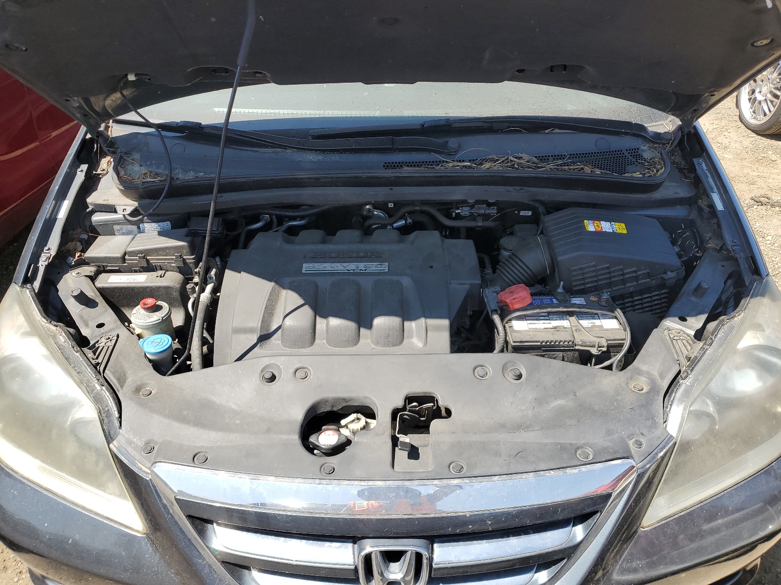 5FNRL38786B447865 2006 Honda Odyssey Exl