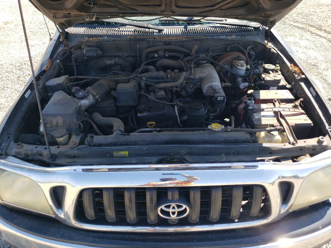 2001 Toyota Tacoma Double Cab Prerunner VIN: 5TEGM92N91Z823558 Lot: 66325844