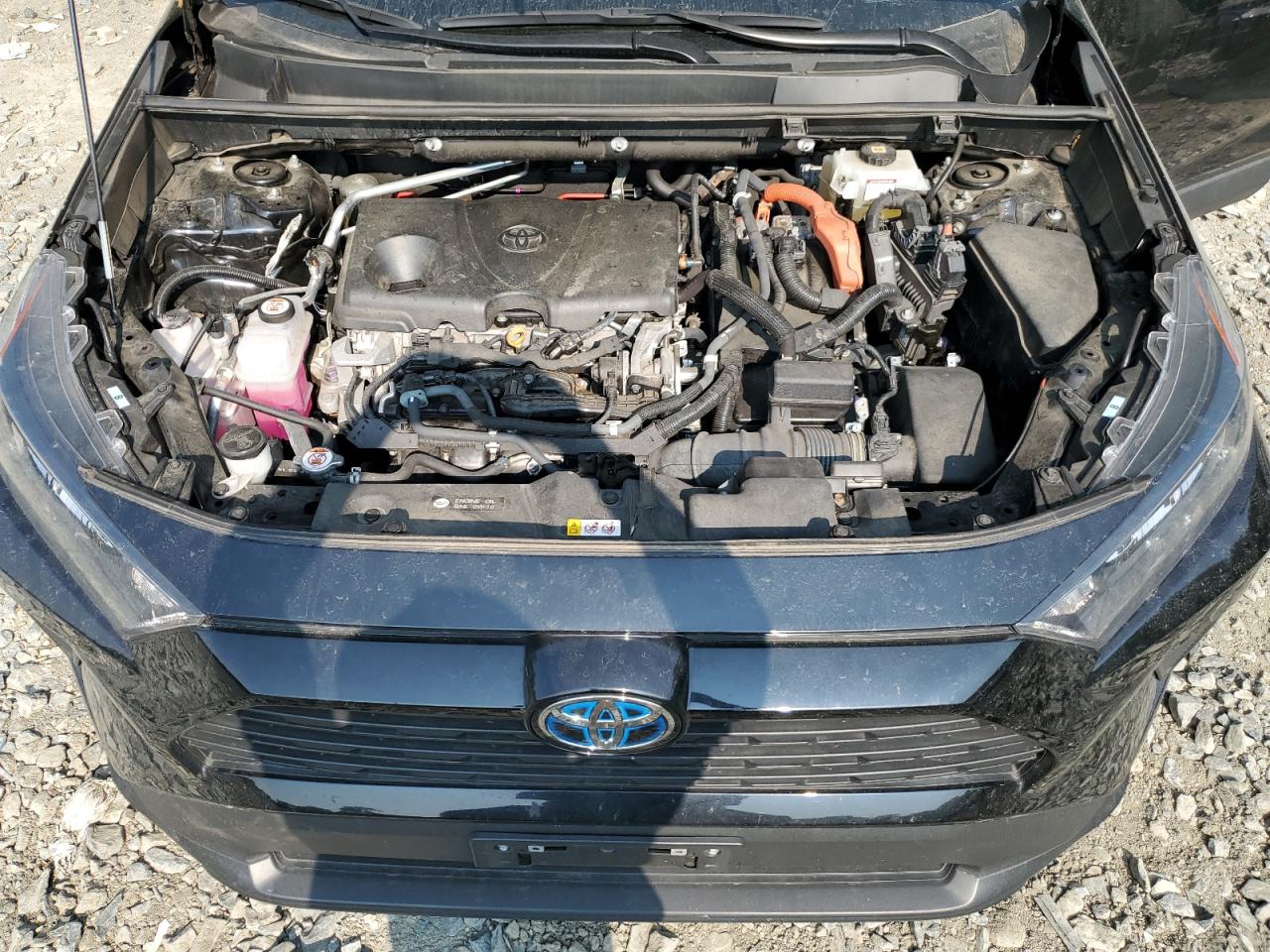 2021 Toyota Rav4 Le VIN: 4T3LWRFV2MU025325 Lot: 65011434