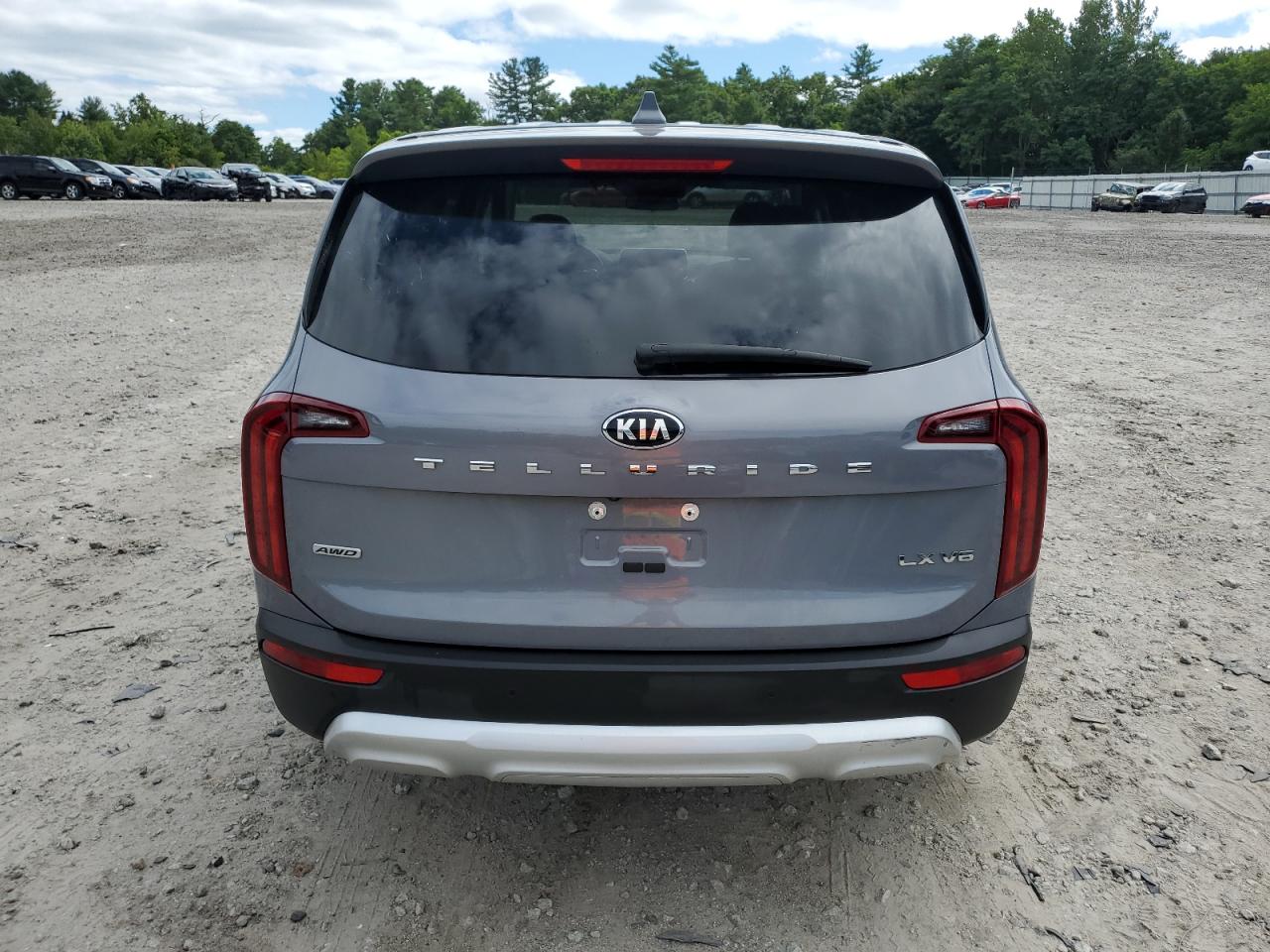 2021 Kia Telluride Lx VIN: 5XYP2DHC4MG099534 Lot: 68227844