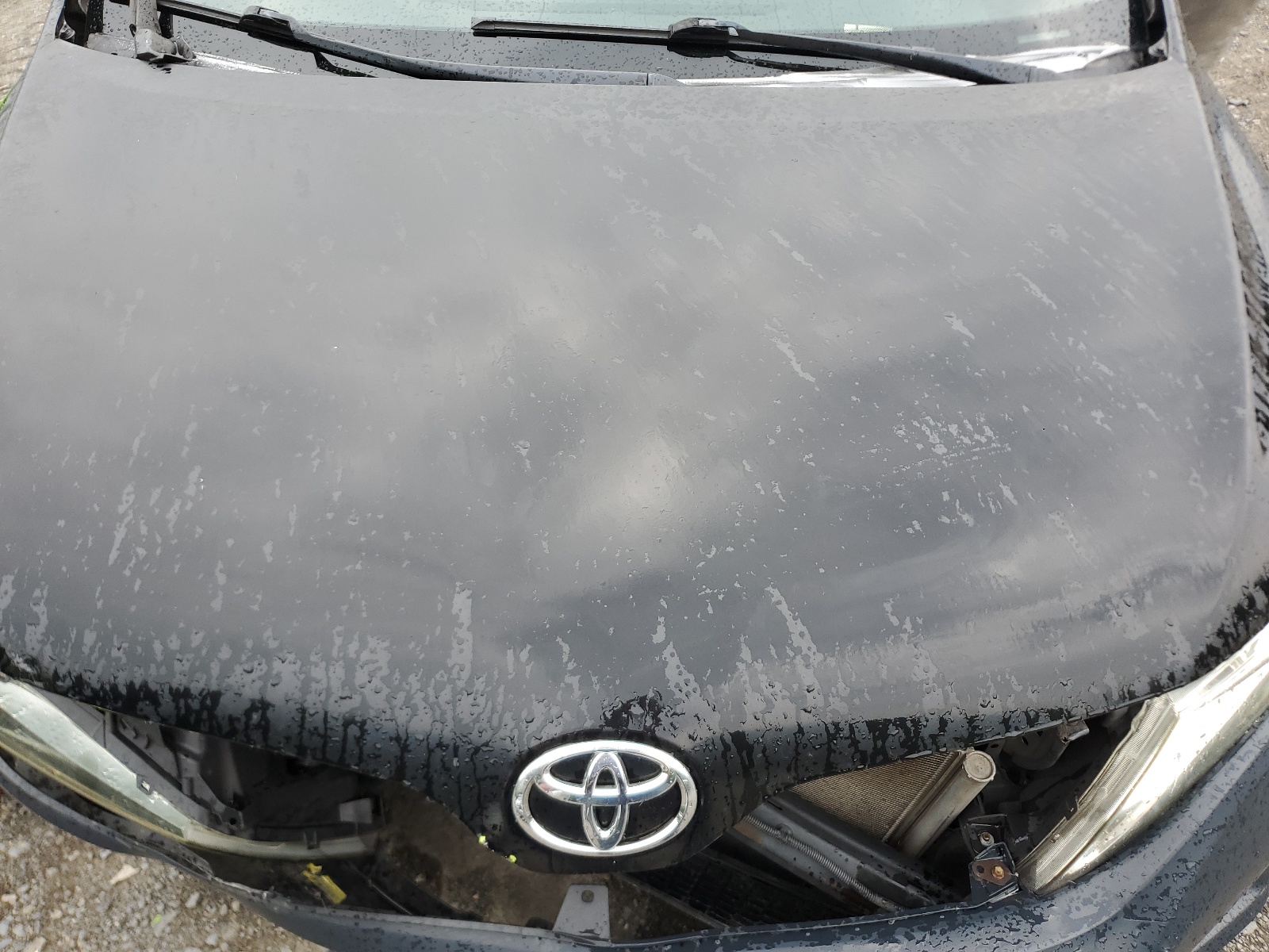 4T3ZA3BB1AU022980 2010 Toyota Venza