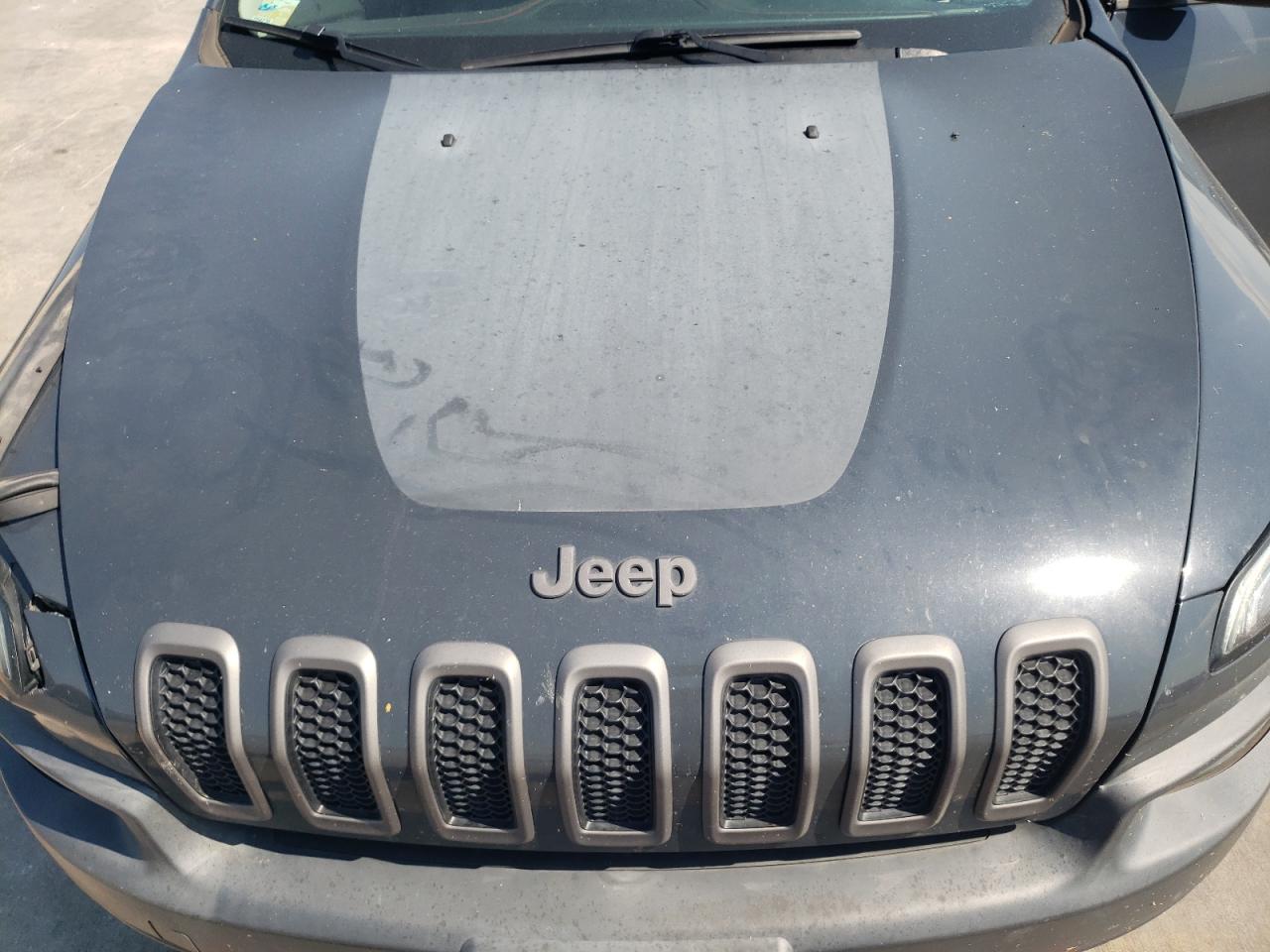 2016 Jeep Cherokee Trailhawk VIN: 1C4PJMBSXGW245719 Lot: 66905334