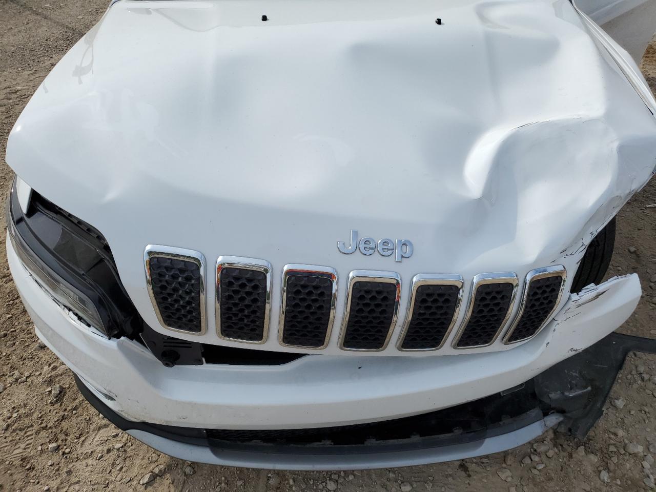 2020 Jeep Cherokee Limited VIN: 1C4PJMDX1LD589986 Lot: 69106034