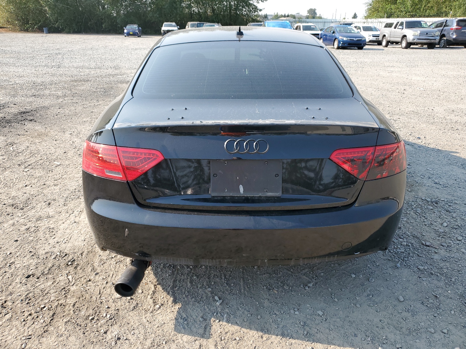 WAUCFAFR4DA001351 2013 Audi A5 Premium