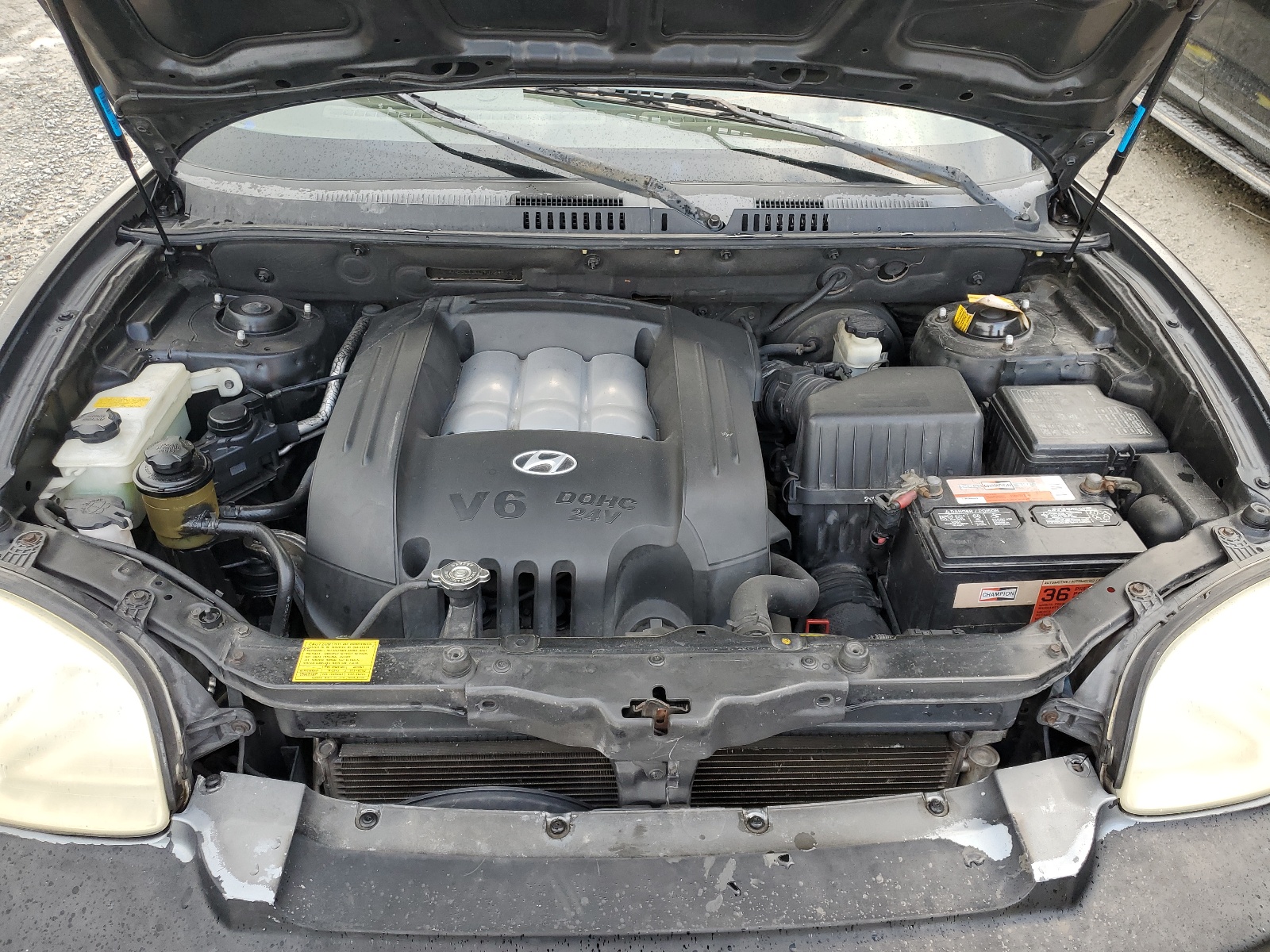 KM8SC13D34U724523 2004 Hyundai Santa Fe Gls