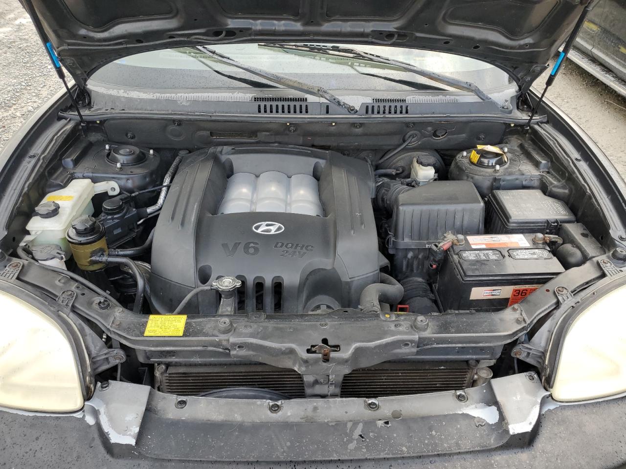 2004 Hyundai Santa Fe Gls VIN: KM8SC13D34U724523 Lot: 65653604