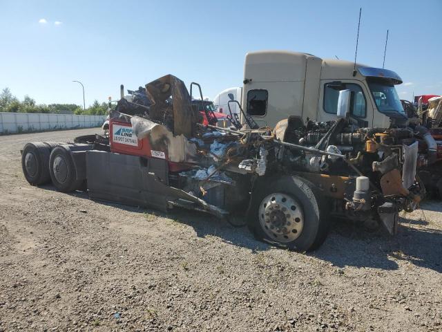 2019 Freightliner Cascadia 126 