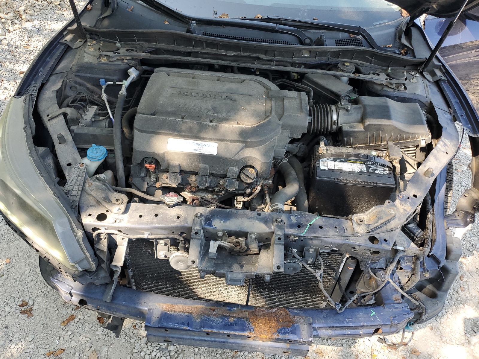 1HGCR3F83DA008435 2013 Honda Accord Exl