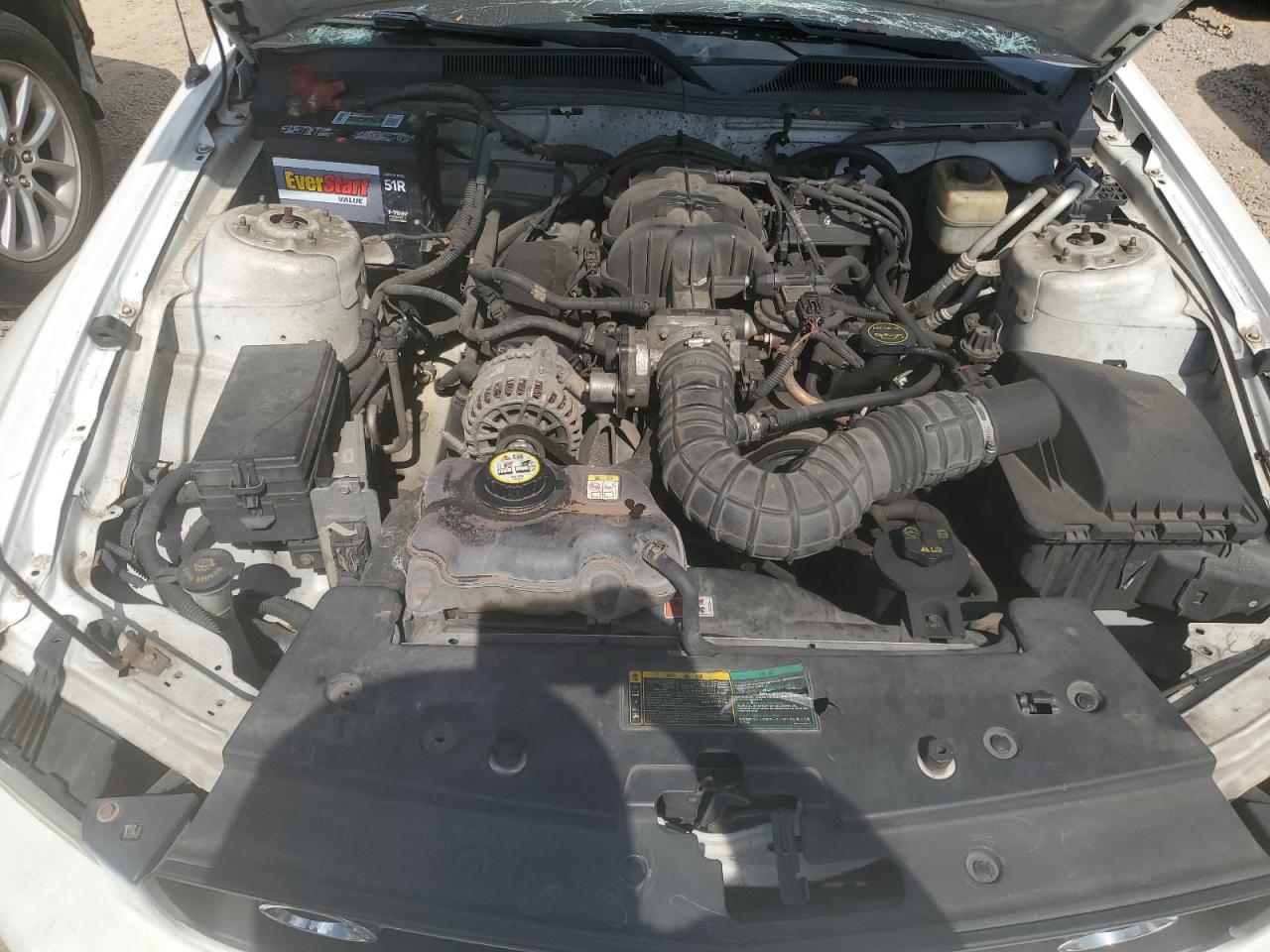 2008 Ford Mustang VIN: 1ZVHT80N885156996 Lot: 65592584