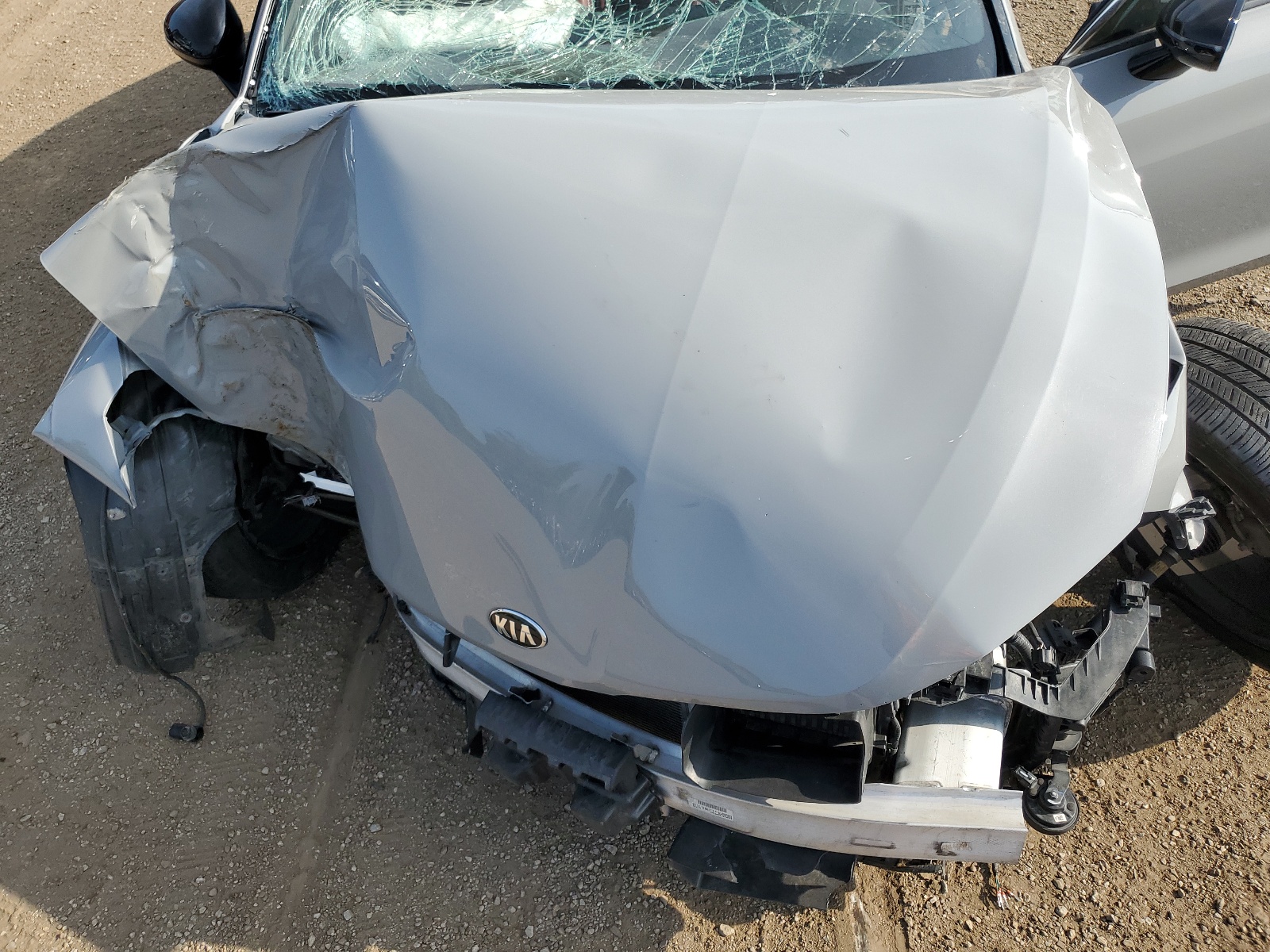 5XXG64J21MG082555 2021 Kia K5 Gt Line