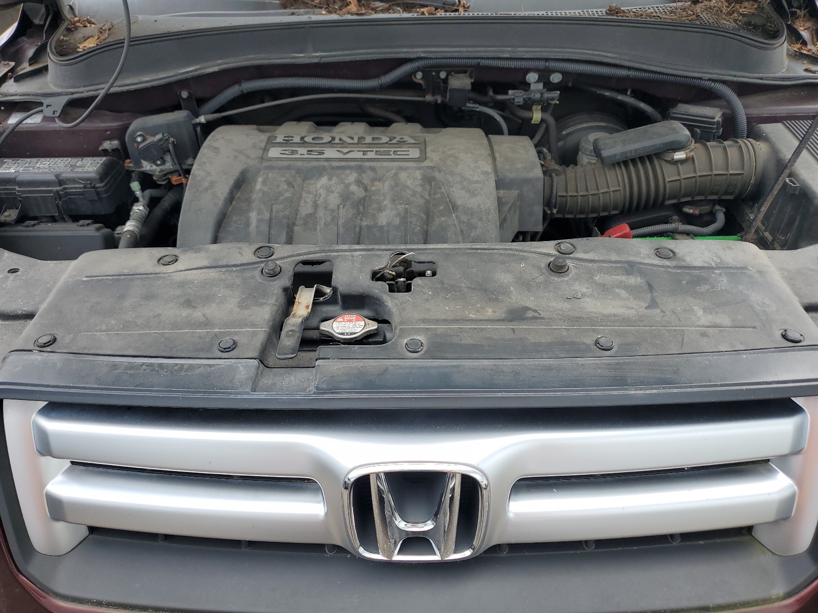 5FNYF18637B013126 2007 Honda Pilot Exl