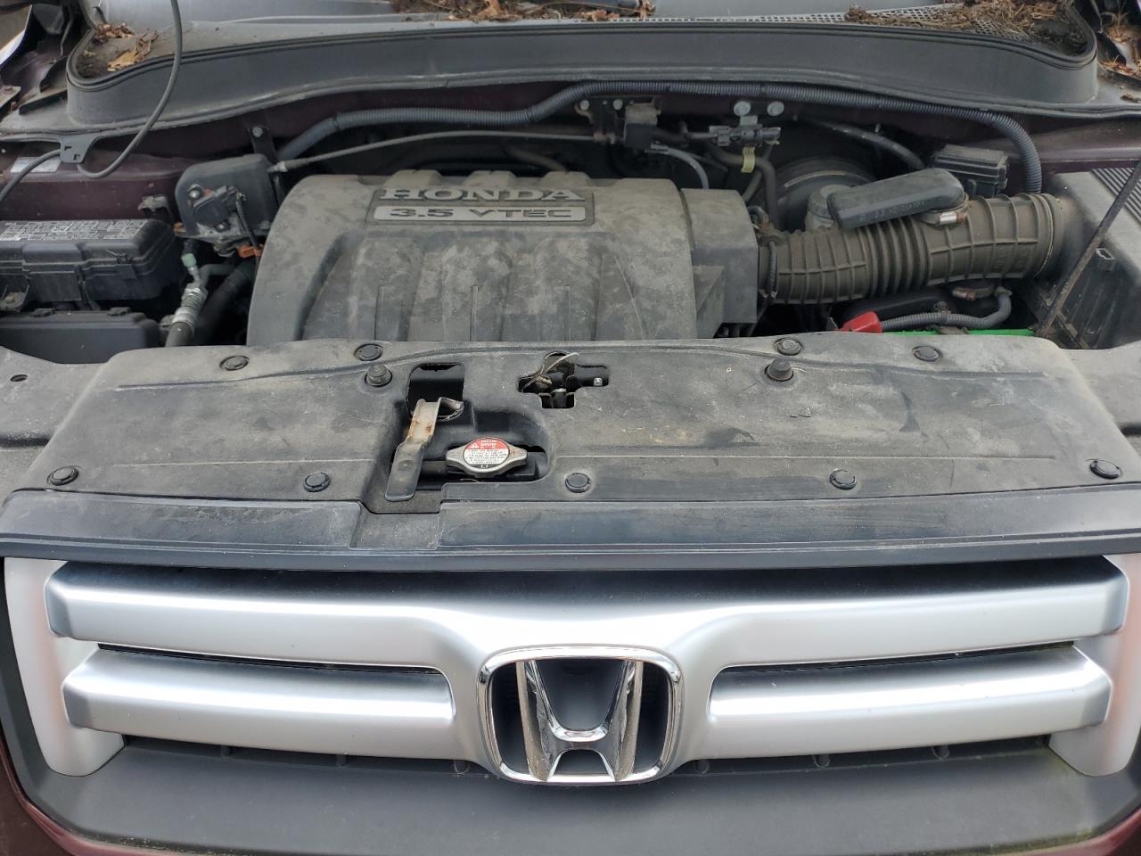 2007 Honda Pilot Exl VIN: 5FNYF18637B013126 Lot: 65163704