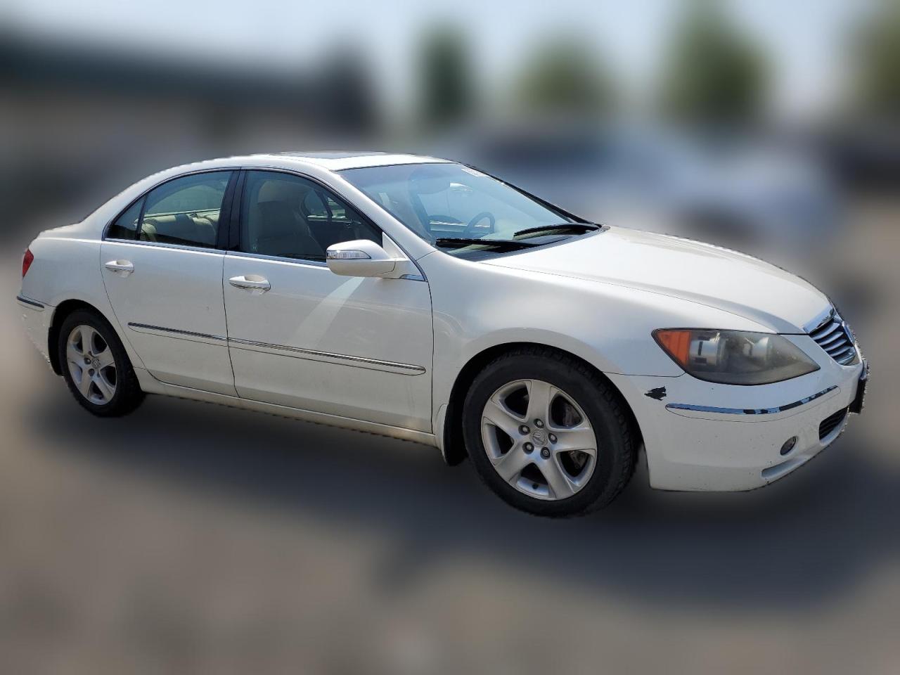 2005 Acura Rl VIN: JH4KB16555C021328 Lot: 65817604