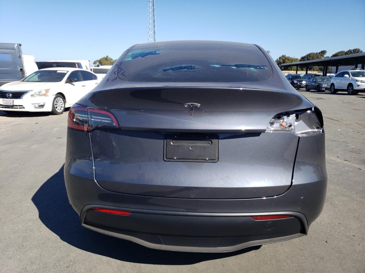 2023 Tesla Model Y VIN: 7SAYGDED4PF946053 Lot: 67570644