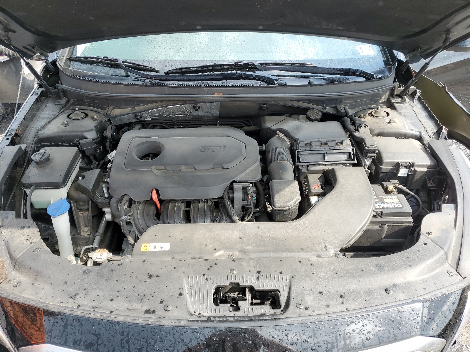 5NPE24AF9GH288835 2016 Hyundai Sonata Se