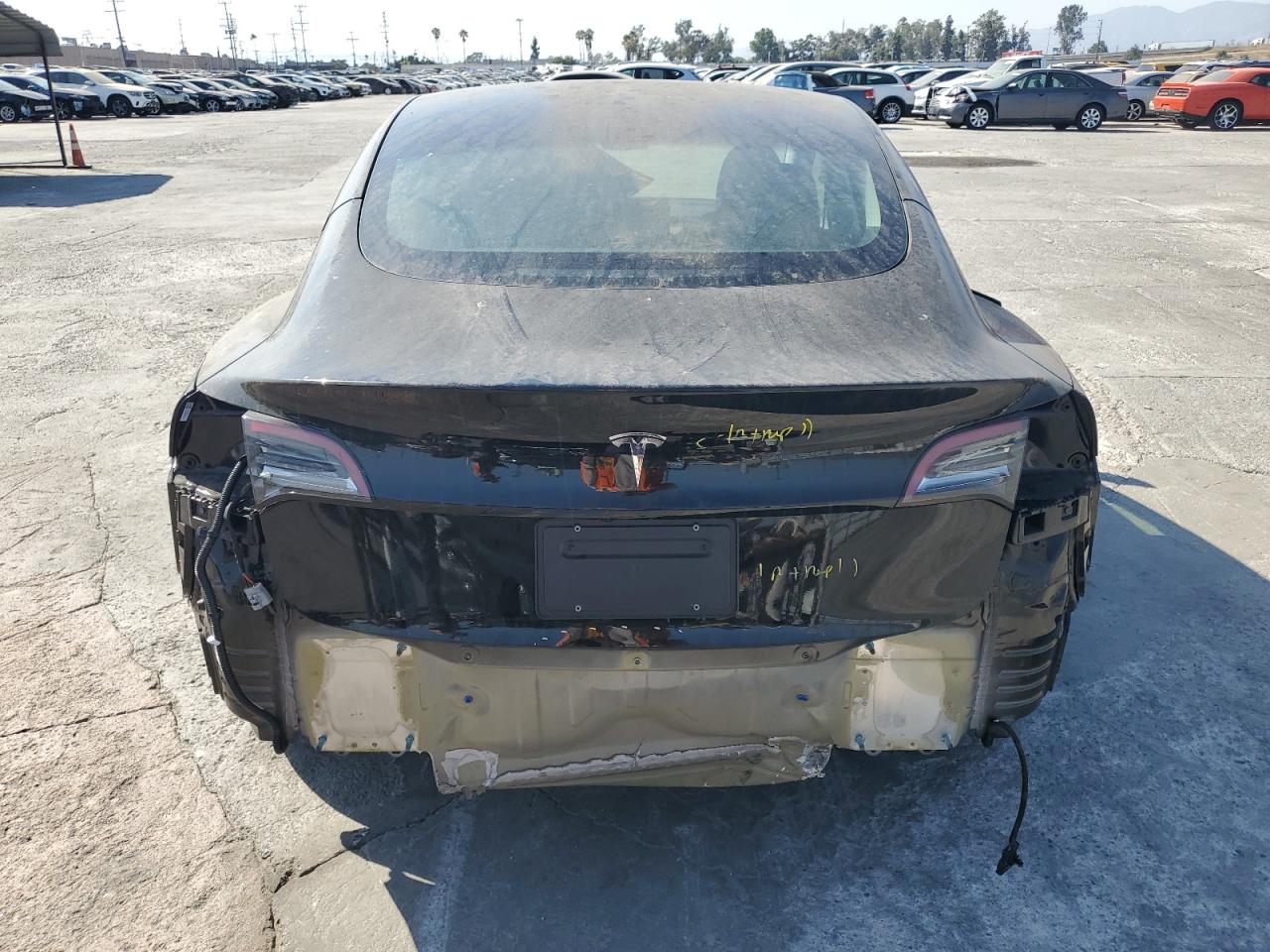 2023 Tesla Model 3 VIN: 5YJ3E1EA1PF711224 Lot: 66149774