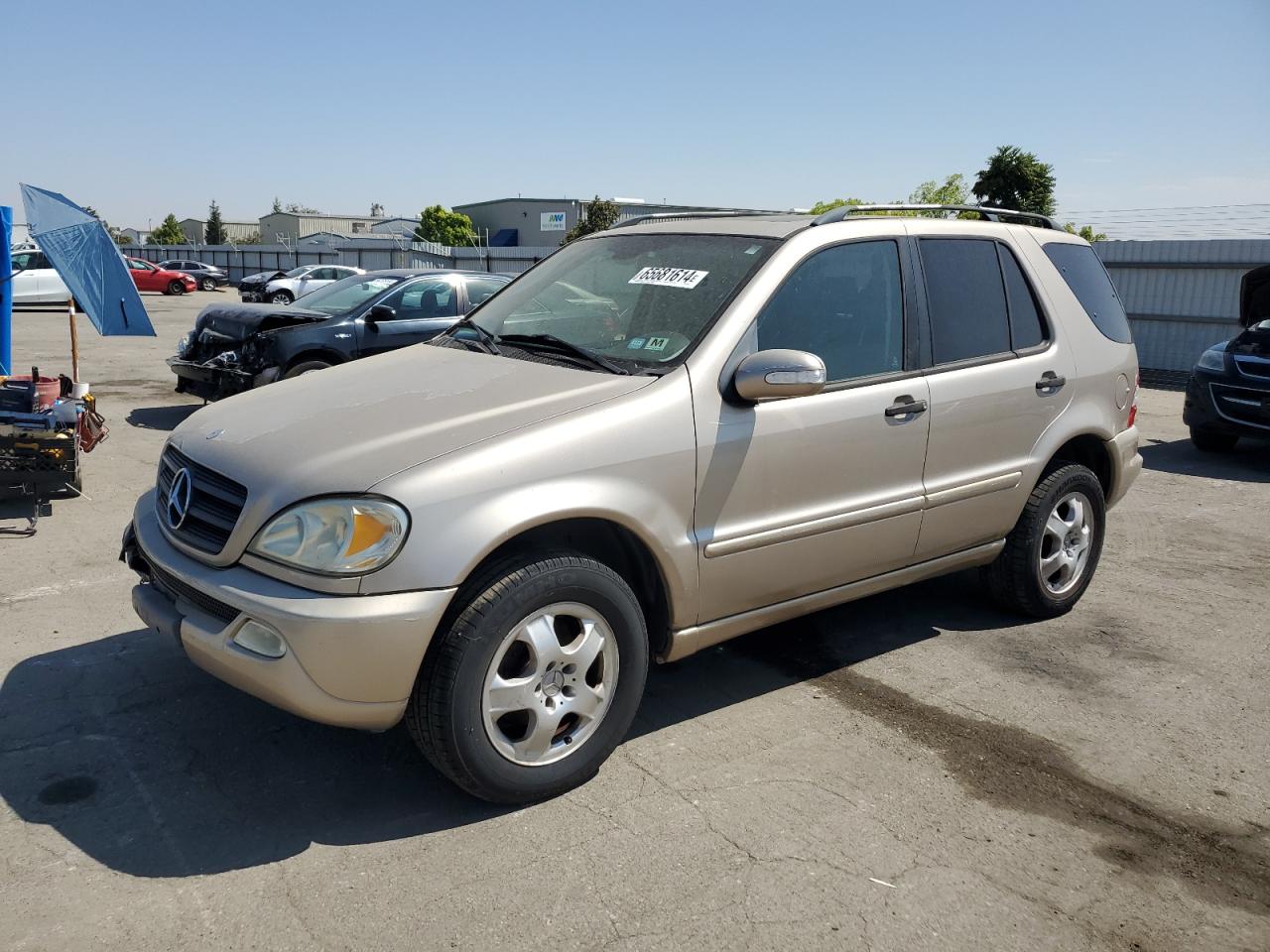 2002 Mercedes-Benz Ml 320 VIN: 4JGAB54E92A291964 Lot: 65681614