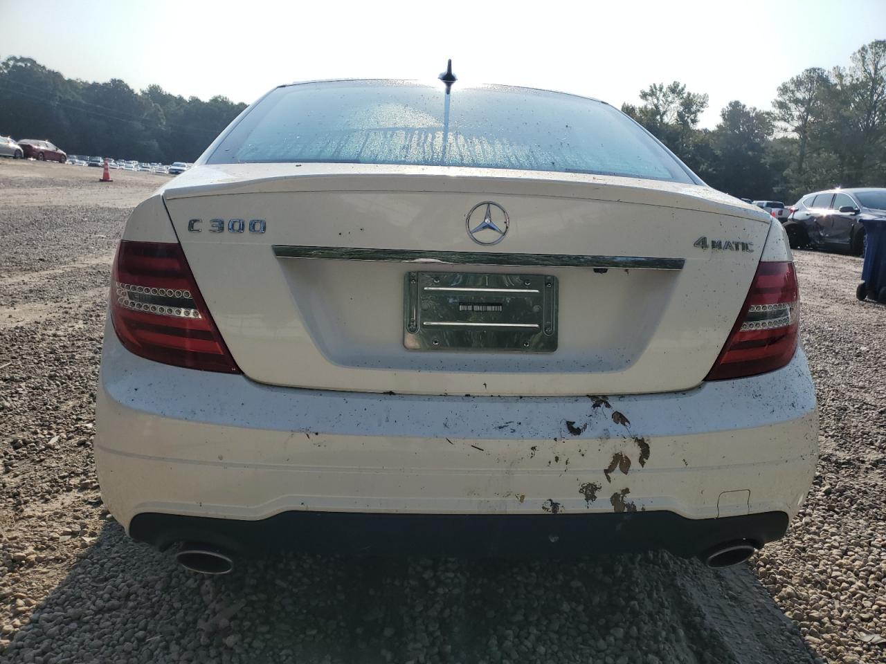 2012 Mercedes-Benz C 300 4Matic VIN: WDDGF8BB7CR208442 Lot: 69285414