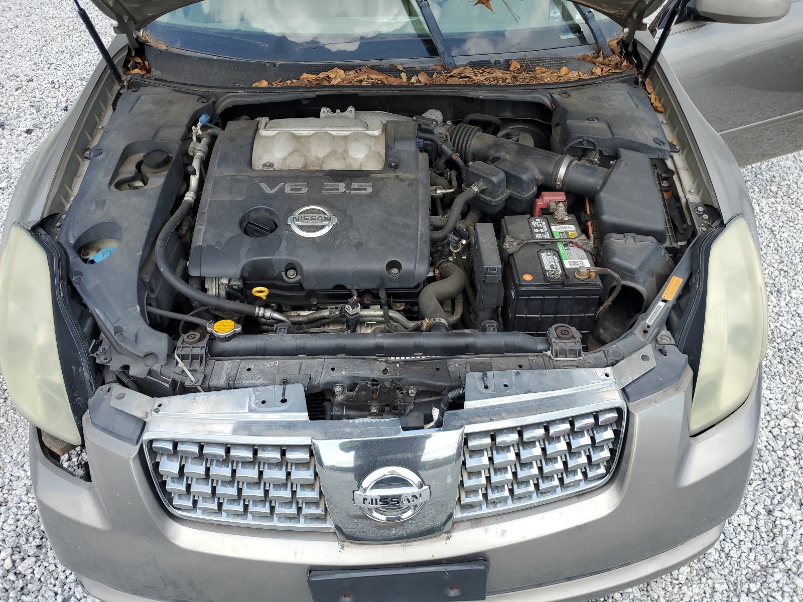 1N4BA41E04C849093 2004 Nissan Maxima Se